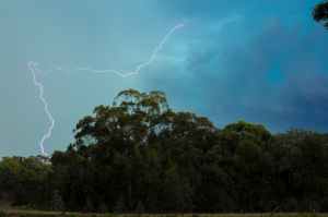 lightning above the green trees